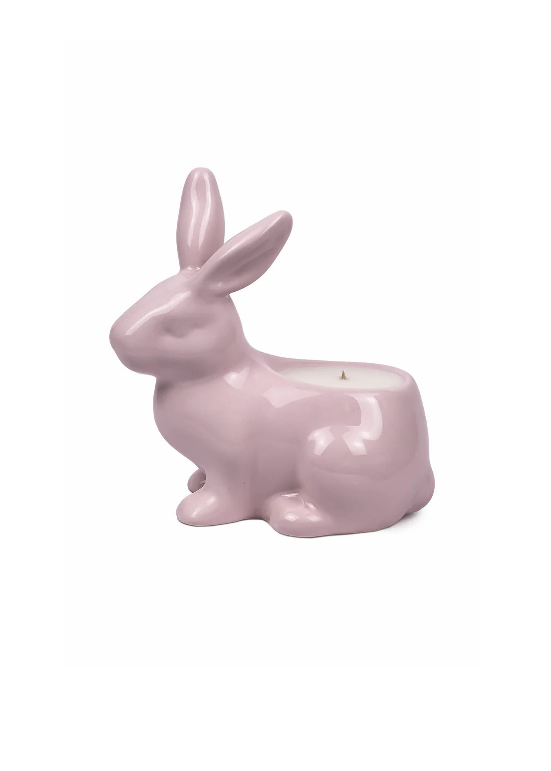 Candle rabbit
