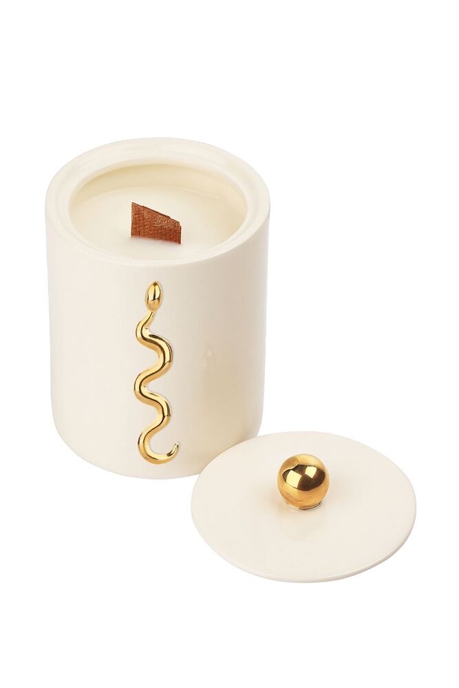 Candle with Serpent in Milk